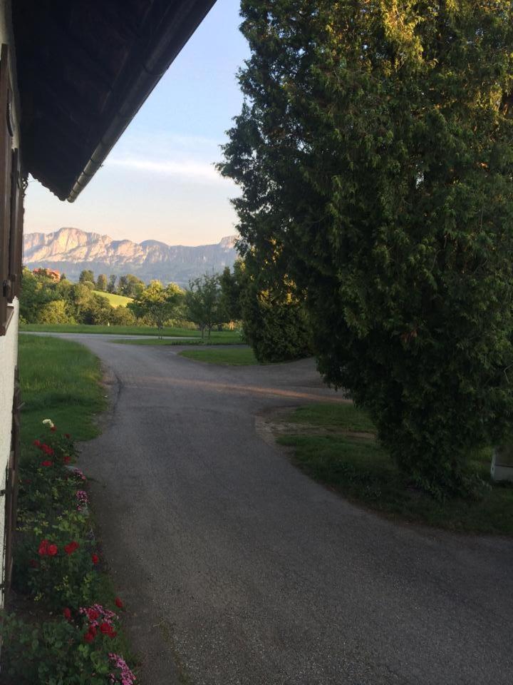 Vila Rauhbergerhof Tiefgraben Pokoj fotografie